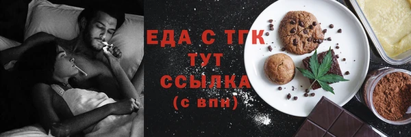 хмурый Аркадак