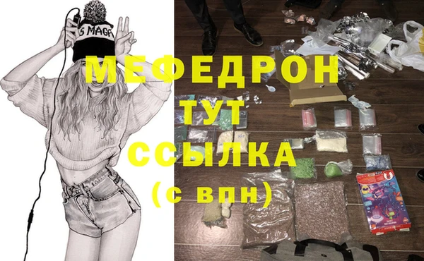 хмурый Аркадак