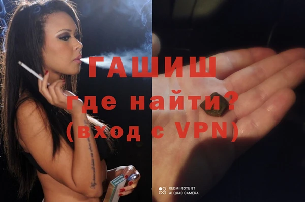 хмурый Аркадак