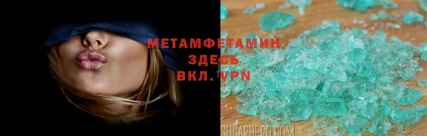 хмурый Аркадак