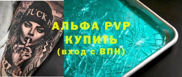 хмурый Аркадак