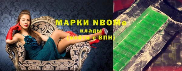 хмурый Аркадак