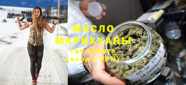 хмурый Аркадак
