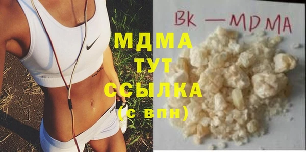 хмурый Аркадак