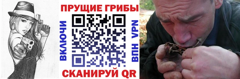 Псилоцибиновые грибы прущие грибы  Пугачёв 