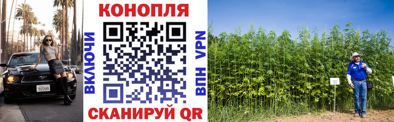 Каннабис LSD WEED  MEGA зеркало  Пугачёв  где можно купить наркотик 